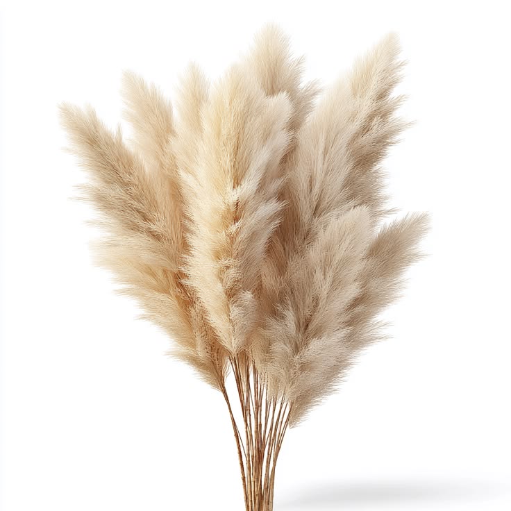 Artificial Pampas Grass - TheOrivana